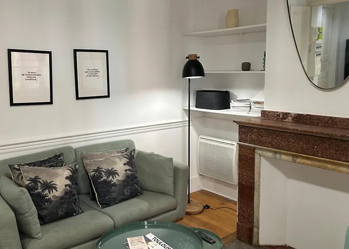 Le Toulousain 001 - Calme En Rez-de-chaussee Avec Terrasse - Hypercentre, Quartier Jeanne D'arc